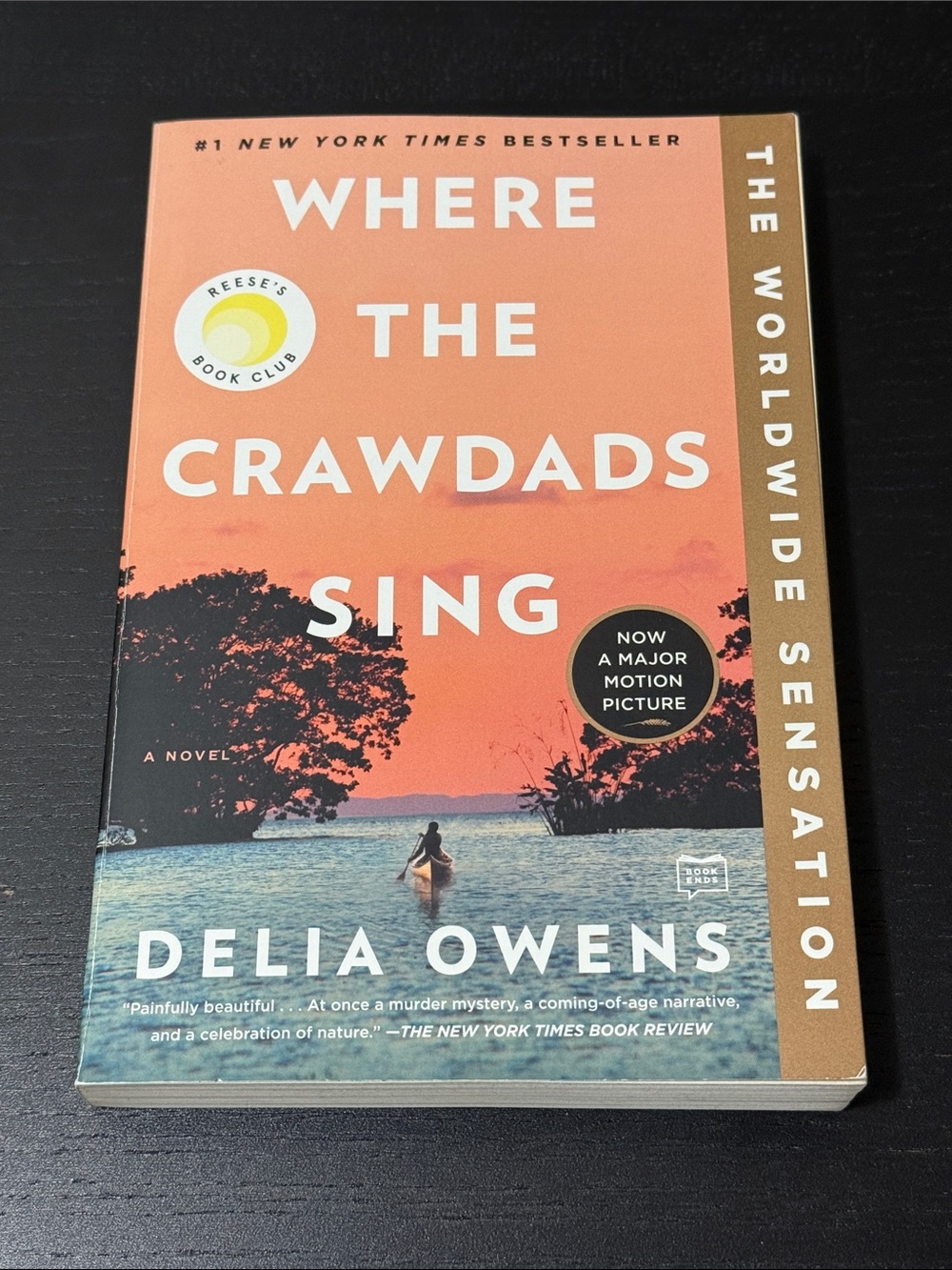 Where the Crawdads Sing by Delia Owen’s